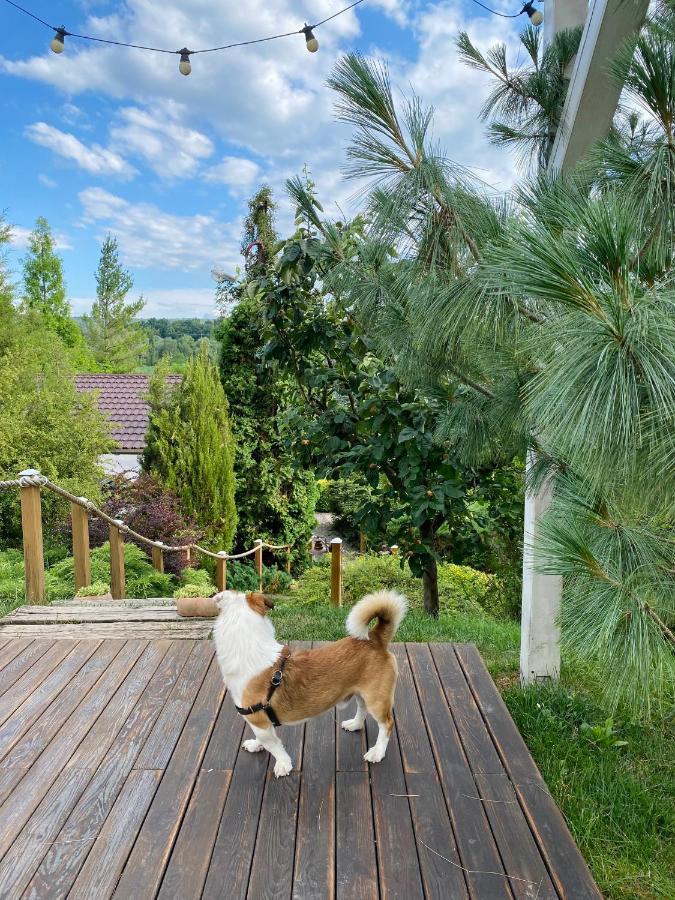 Hotel Casa Cu Suflet Sighișoara Zewnętrze zdjęcie
