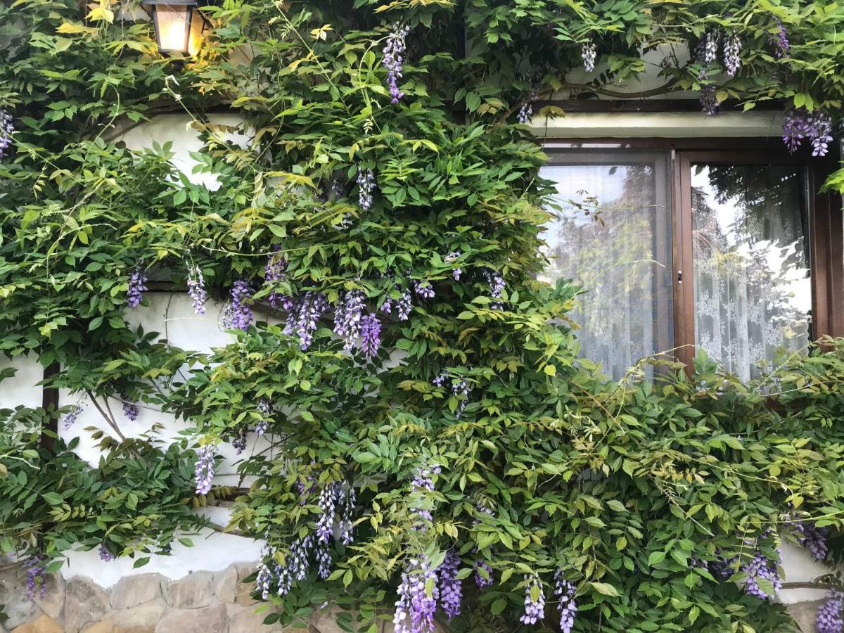 Hotel Casa Cu Suflet Sighișoara Zewnętrze zdjęcie