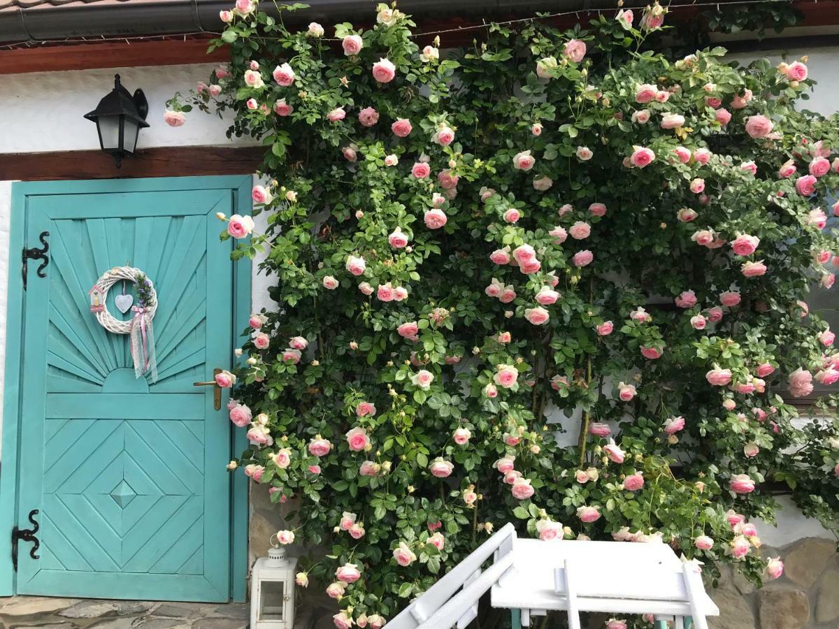 Hotel Casa Cu Suflet Sighișoara Zewnętrze zdjęcie